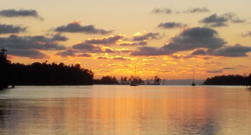 The sky appears in gentle colors above trees and a body of water. There are sailboats on the water. 